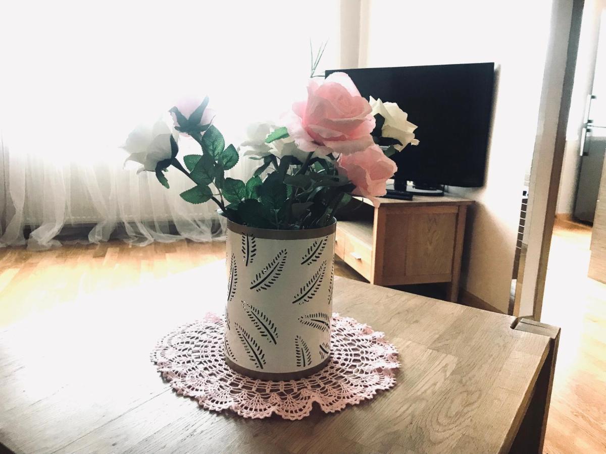 Cozy Central Apartment 塔林 外观 照片